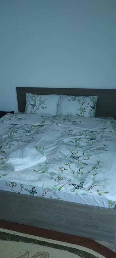 Sibiu Apartament Бухарест Экстерьер фото