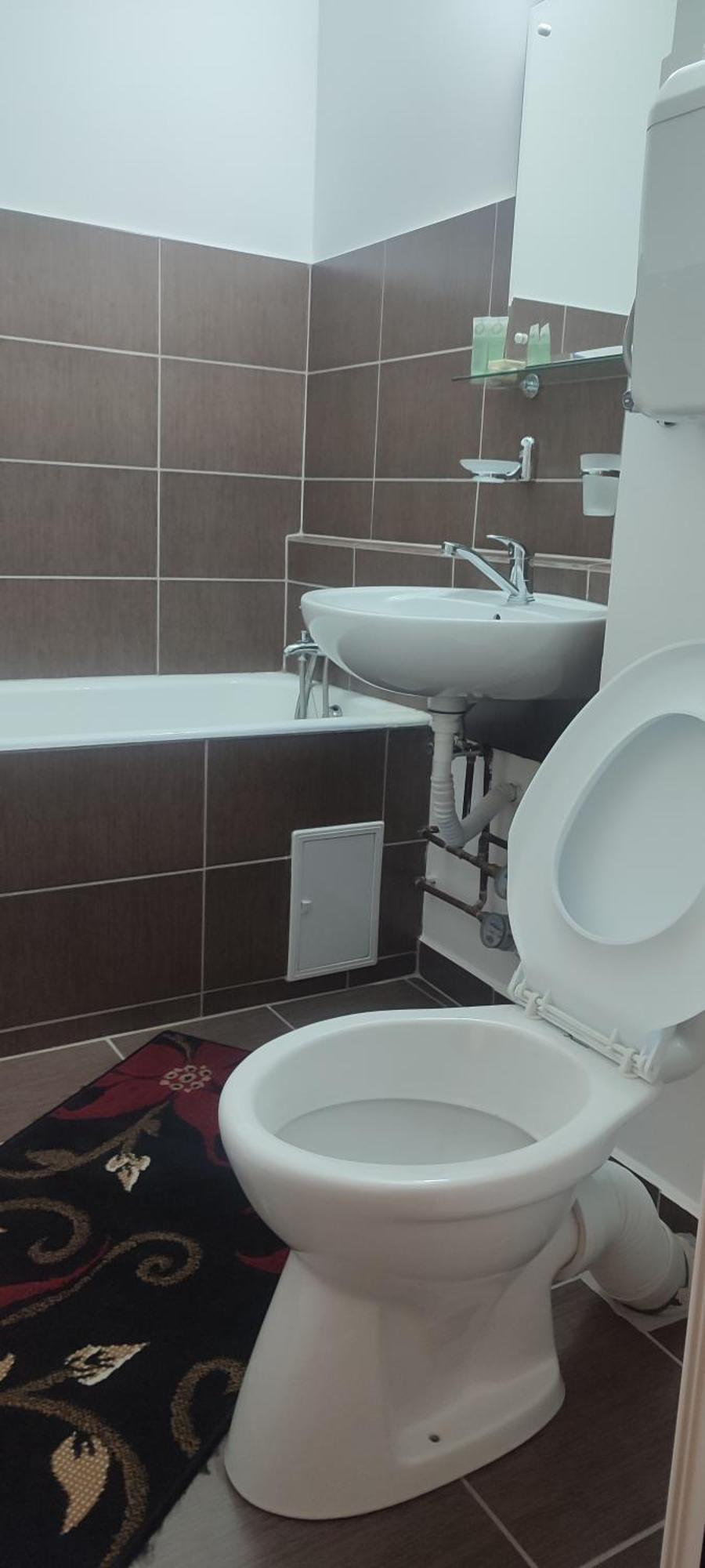 Sibiu Apartament Бухарест Экстерьер фото